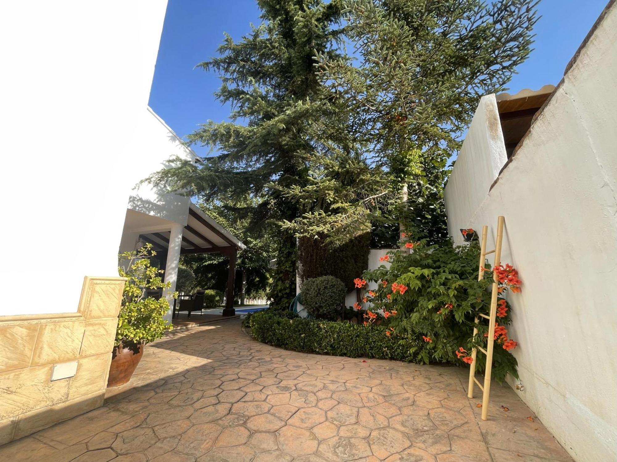 Paraiso Villa Parchis Motilleja Zewnętrze zdjęcie
